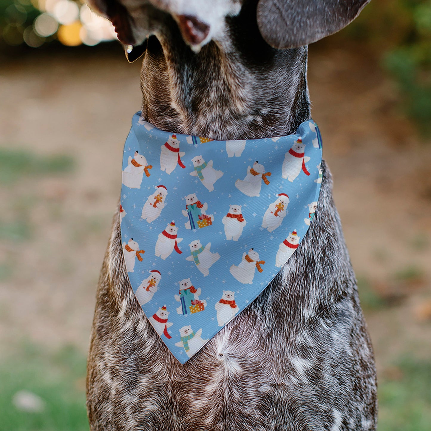 Pet Bandana - Holiday Polar Bear Poses Baby Blue