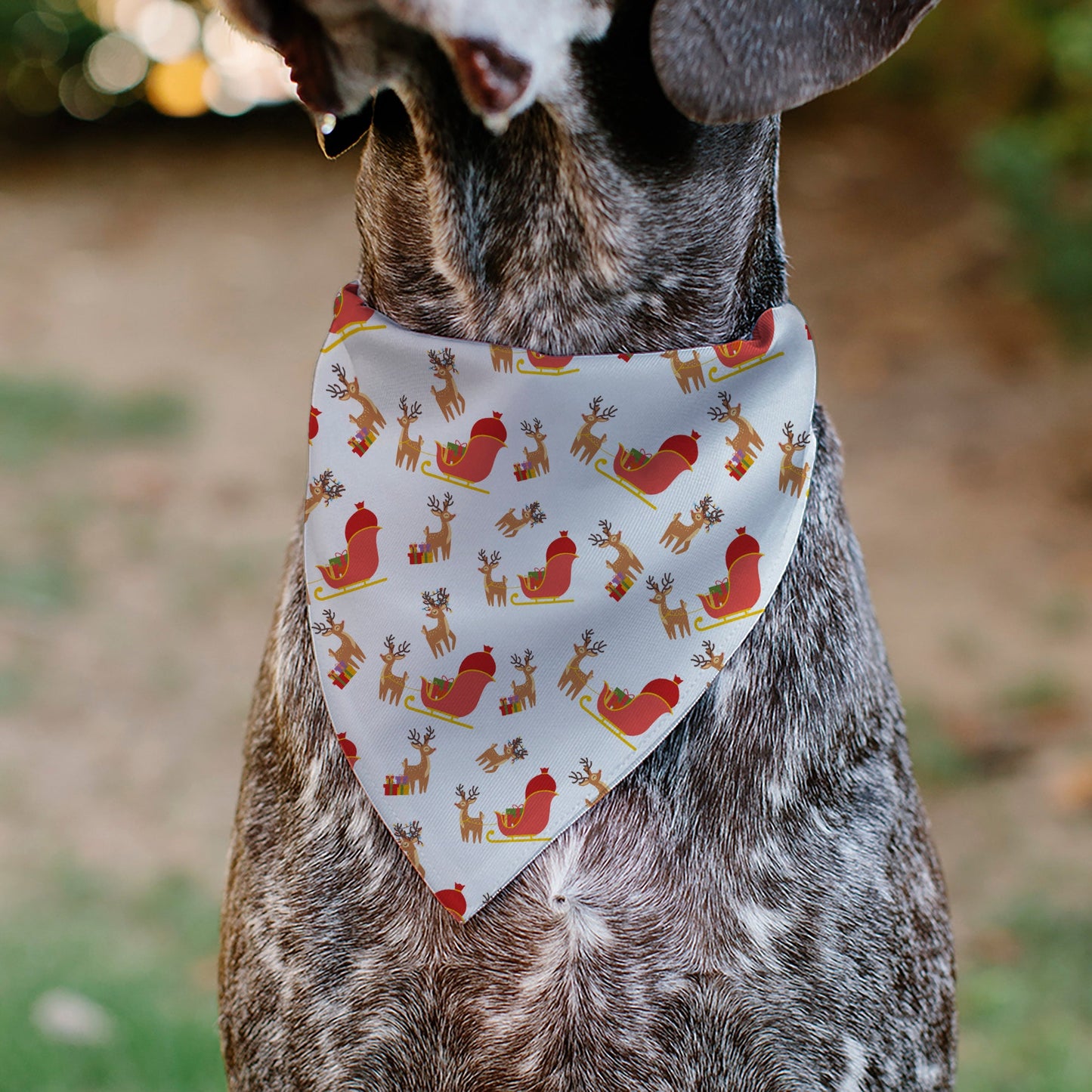 Pet Bandana - Holiday Santa Reindeers and Sleigh Collage White