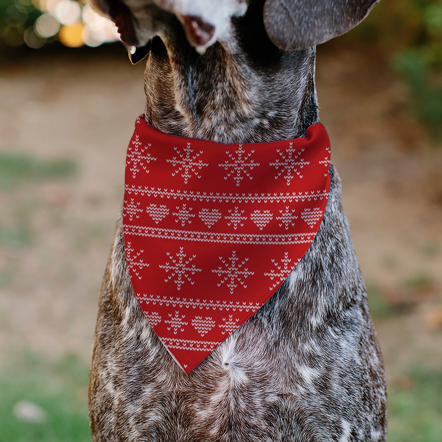 Pet Bandana - Holiday Sweater Stitch Hearts and Snowflakes Red/White