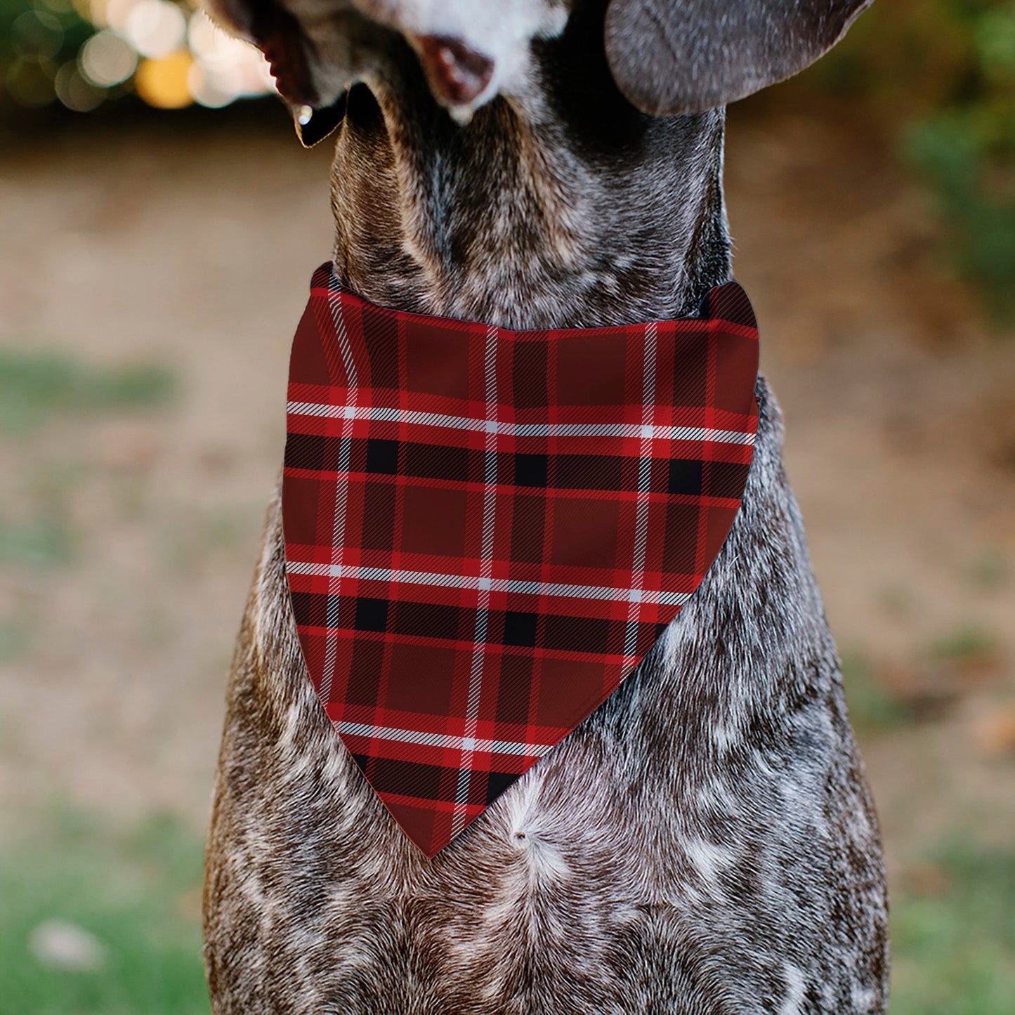 Pet Bandana - Holiday Pajama Plaid Red/Black/White