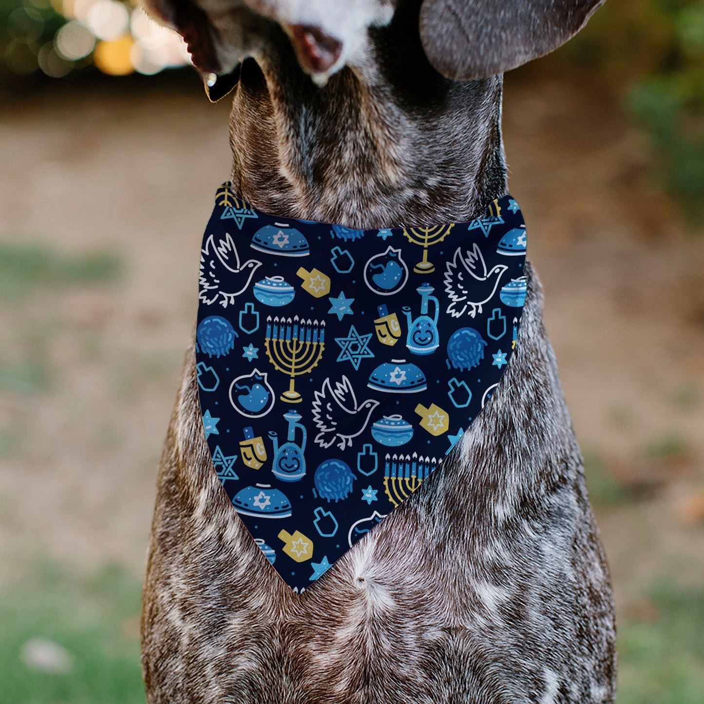 Pet Bandana - Hanukkah Holiday Symbols Black/Blues/Yellow