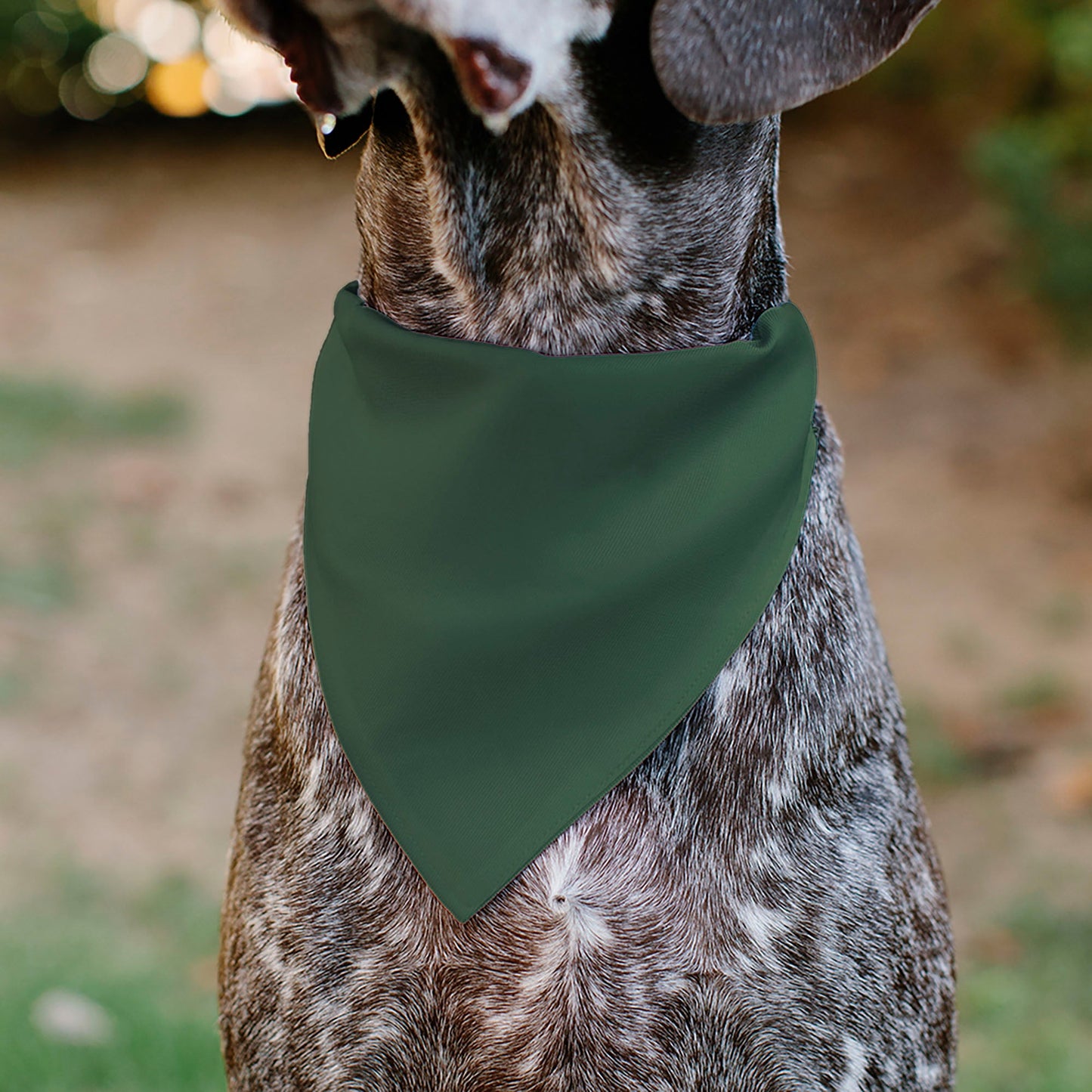 Pet Bandana - PET ME Text and Paw Olive/Pinks/Brown