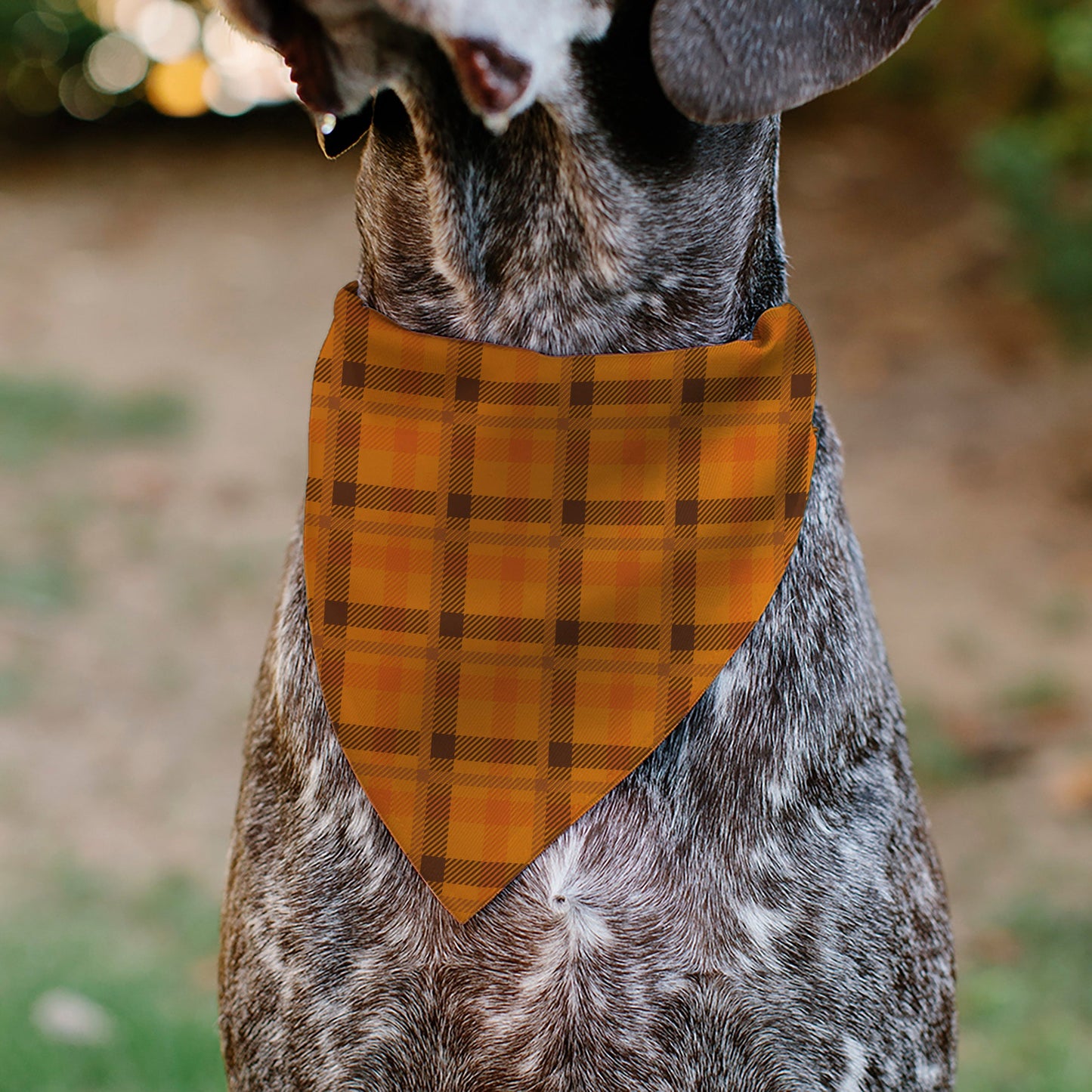 Pet Bandana - Plaid Orange/Brown