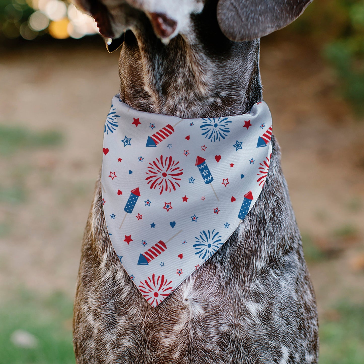 Pet Bandana - Stars and Stripes Fireworks White/Blue/Red