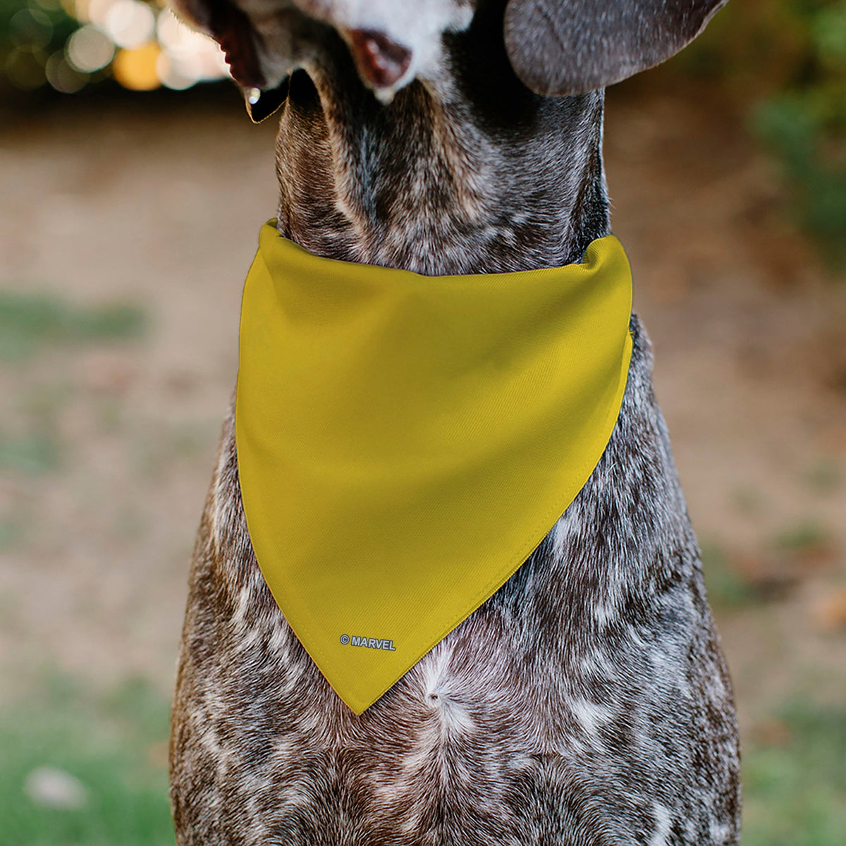 Pet Bandana - X-Men Wolverine Face Yellow