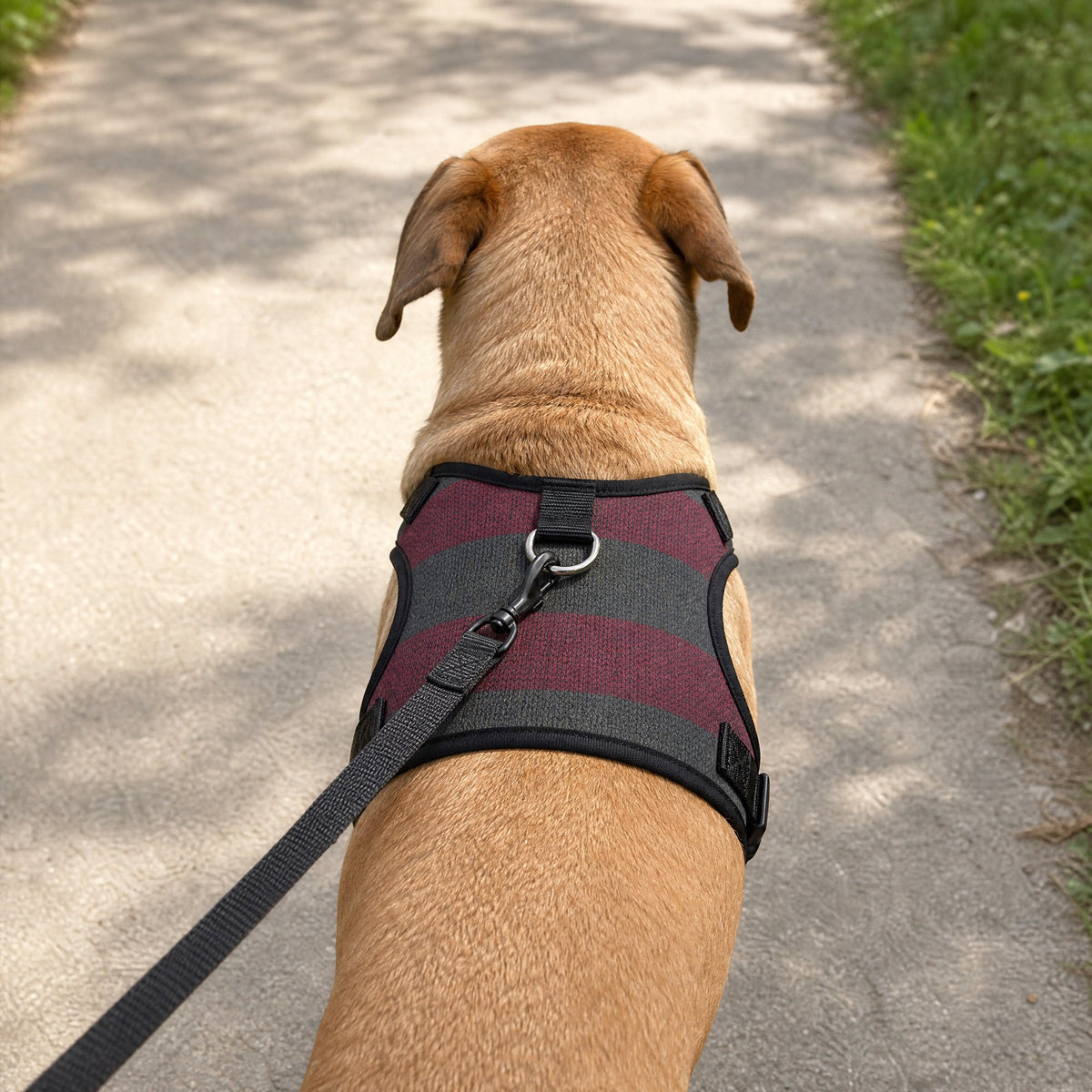 Pet Harness - A Nightmare On Elm Street Freddy's Sweater Stripes Reds/Greens
