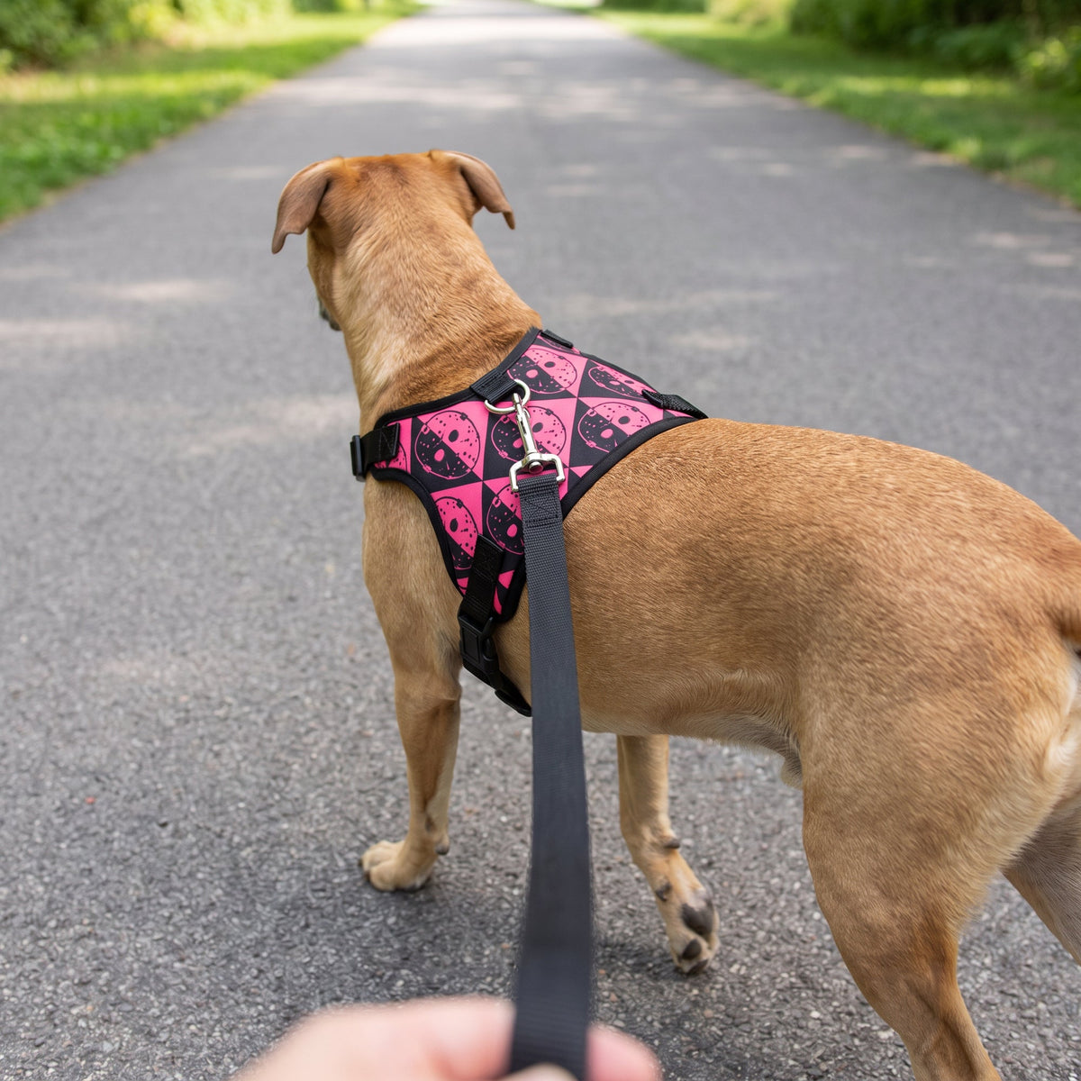 Pet Harness - Friday the 13th Jason Mask Diamond Split Black/Pink