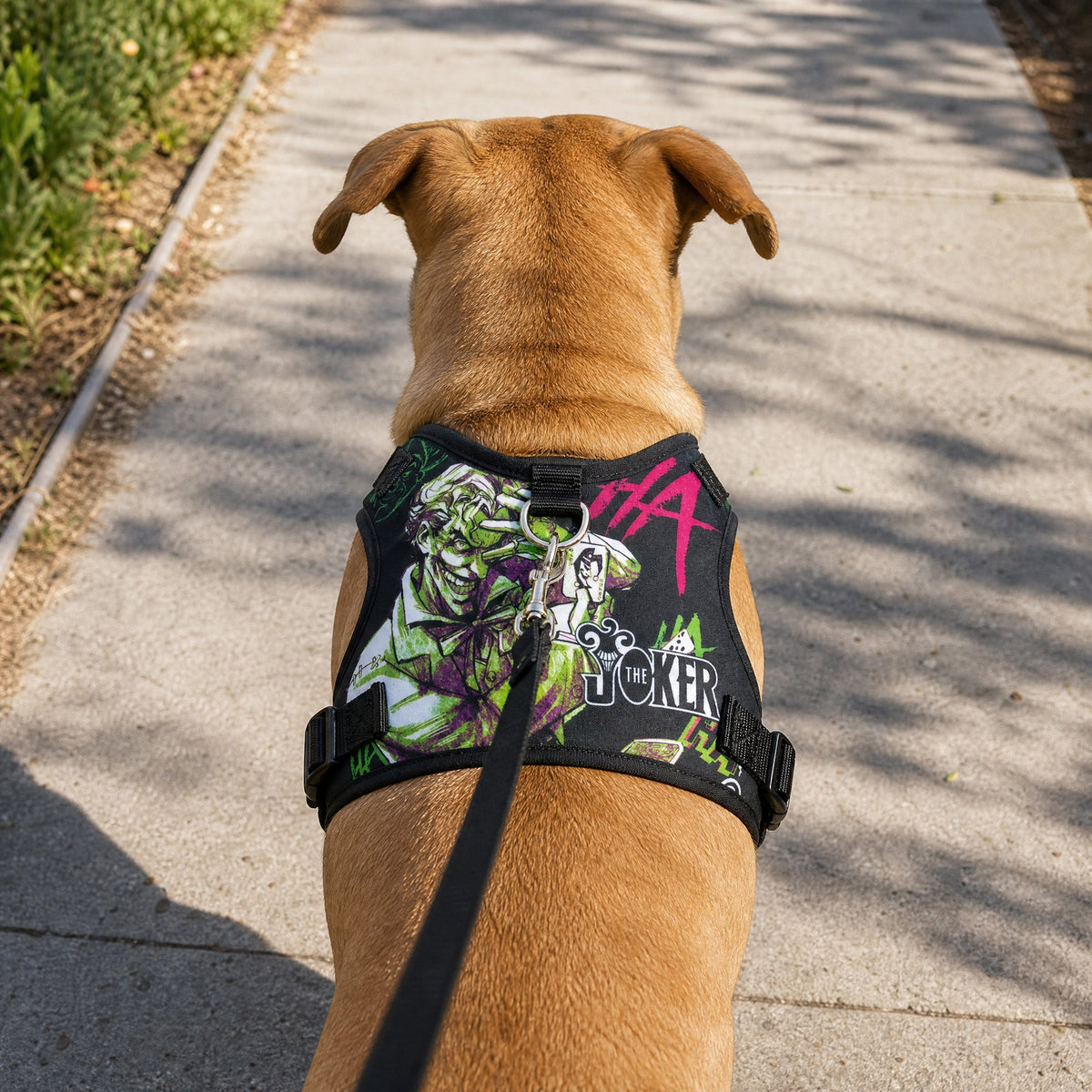 Pet Harness - Joker the Clown Prince of Crime Collage Multi Color