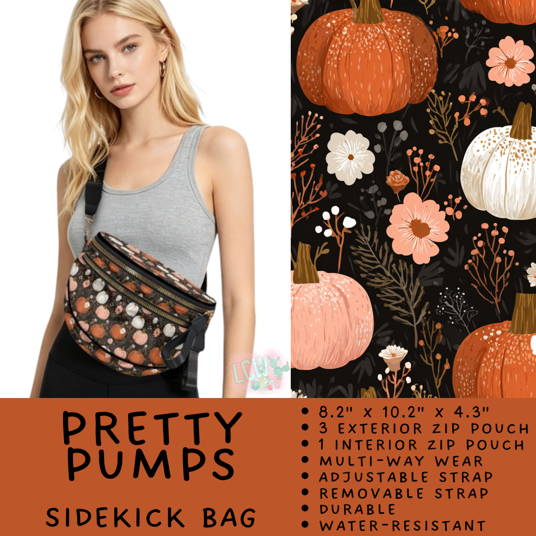 Batch #579 - Sidekick Bags 2 - Closes 9/2 - ETA early November - Pretty Pumps Sidekick Bag