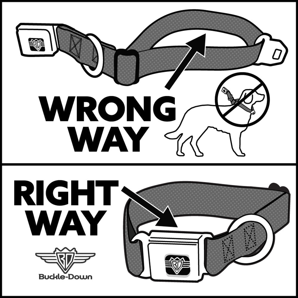 THE APOTHECARY DIARIES Title Logo Full Color Black/Red/White Seatbelt Buckle Collar - The Apothecary Diaries Gyokuyo and Lihua Pose Blocks White/Pink/Blue
