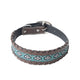 Black And Turquoise