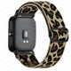 rock cheetah