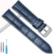 blue-silver buckle