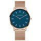 rose gold blue