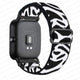 zebra white