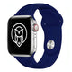 Shell Blue