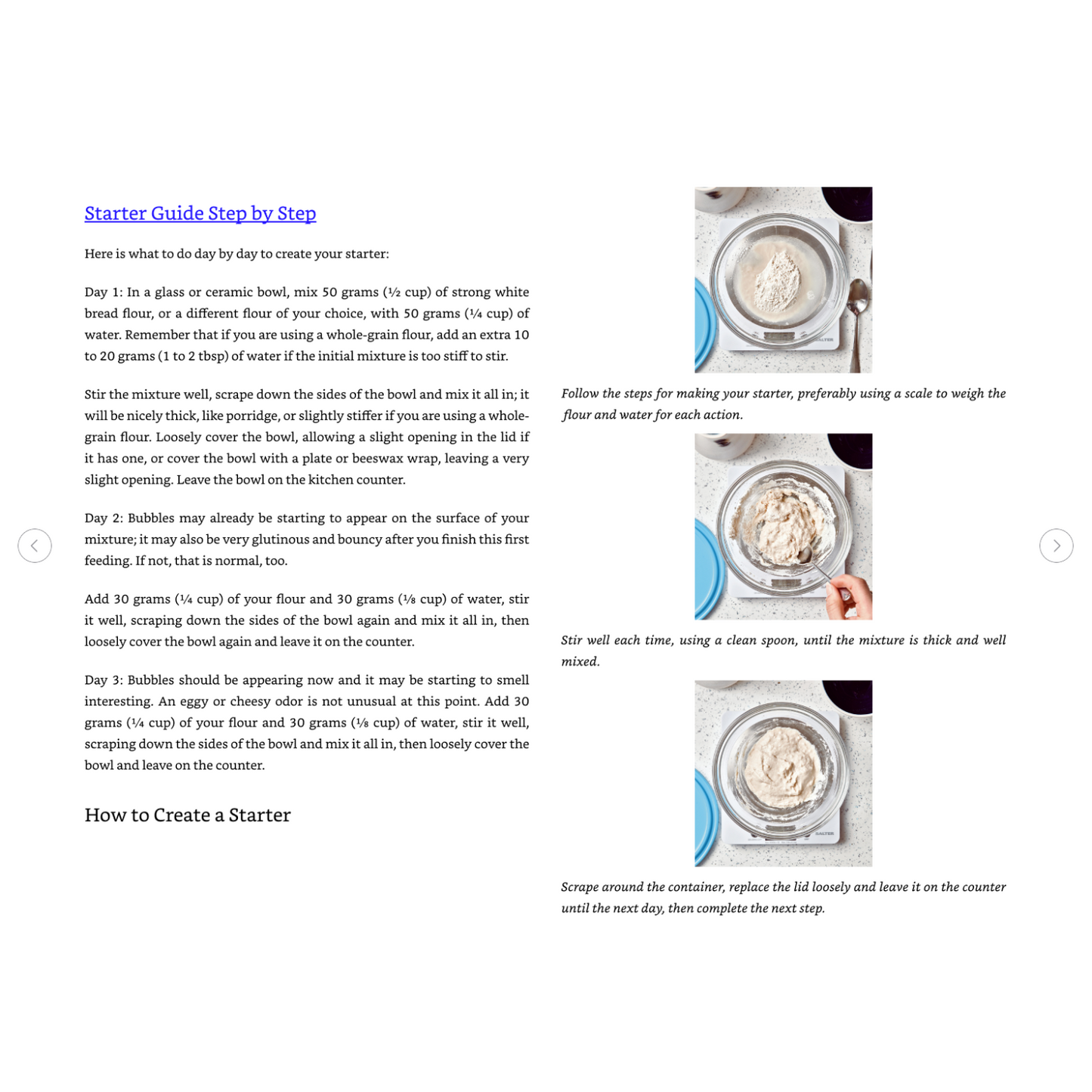 The Sourdough Whisperer (Spiral Bound)