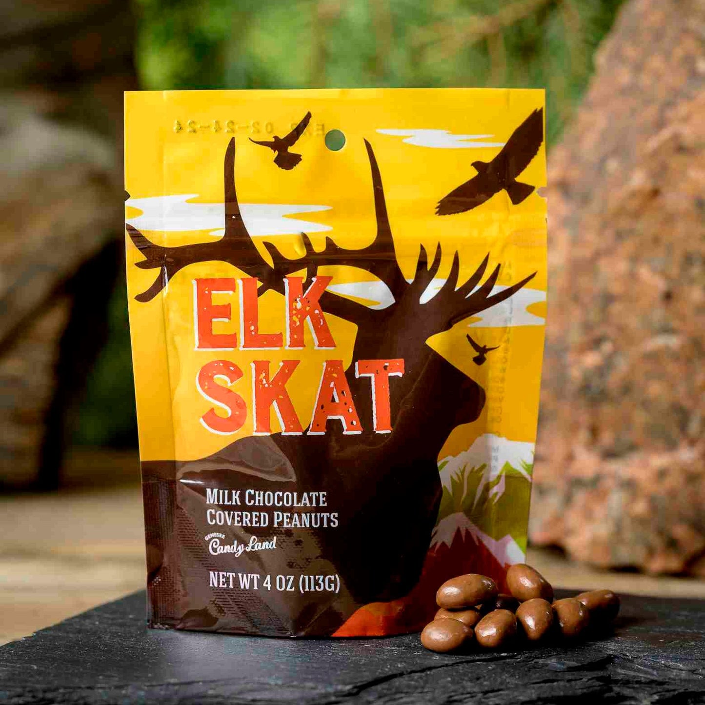 Animal Trackers Chocolate Variety Pack