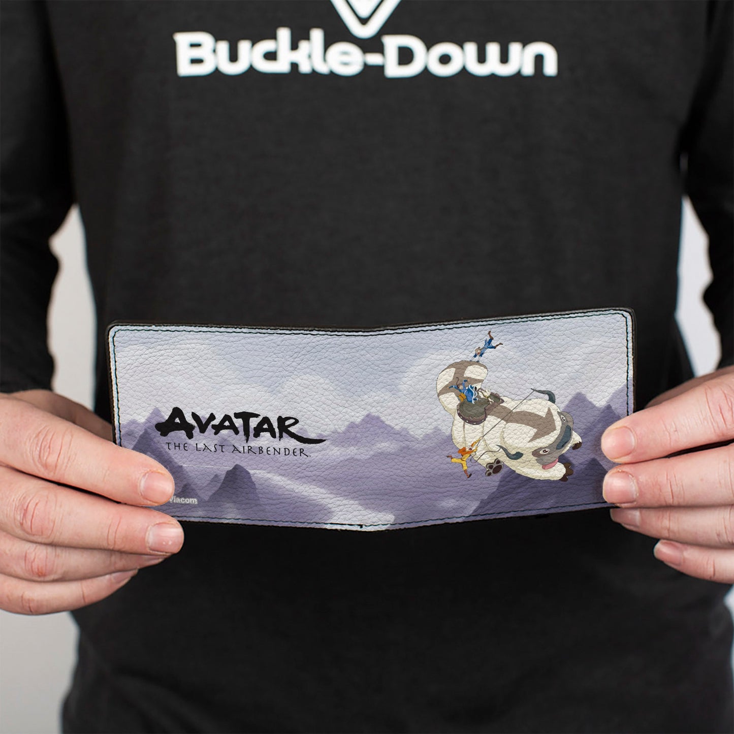 Bi-Fold Wallet - Avatar the Last Airbender Appa Carrying 4-Character Group Scene Over Mountains + Logo Grays Black