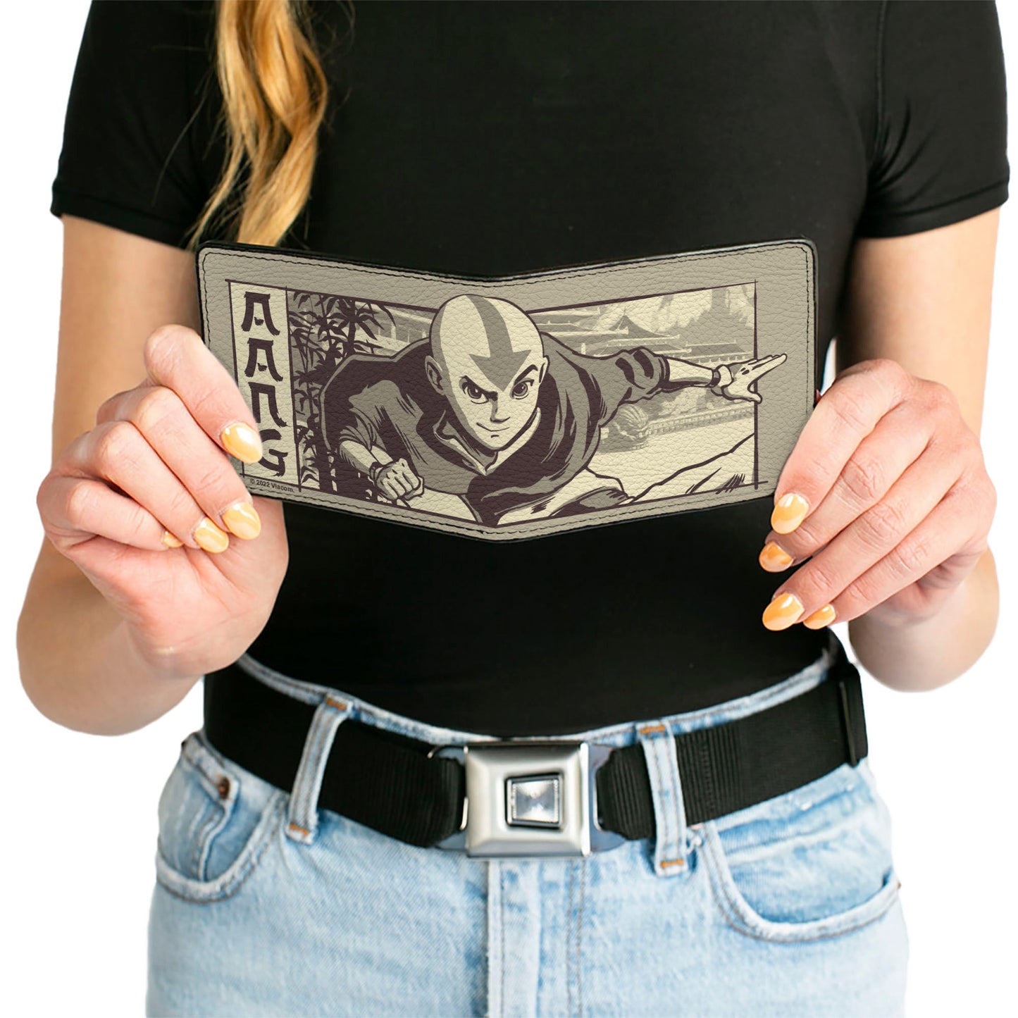 Bi-Fold Wallet - Avatar the Last Airbender Aang Garden Pose Grays