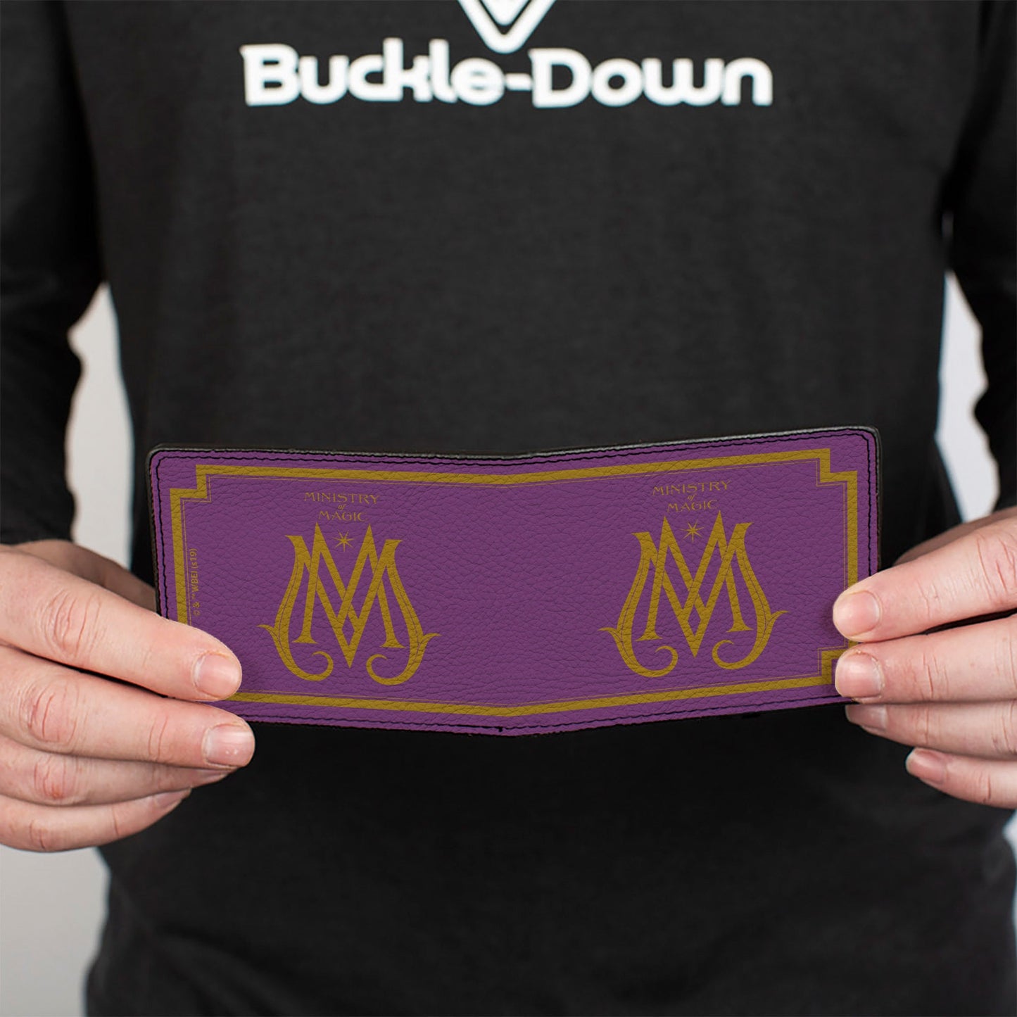 Bi-Fold Wallet - Fantastic Beasts The Crimes of Grindelwald MINISTRY OF MAGIC Icon Purple Gold