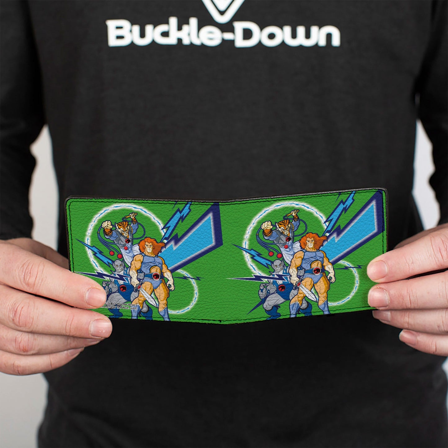 Bi-Fold Wallet - ThunderCats Classic 3-Character Group Pose and Lightning Bolts Green Blues