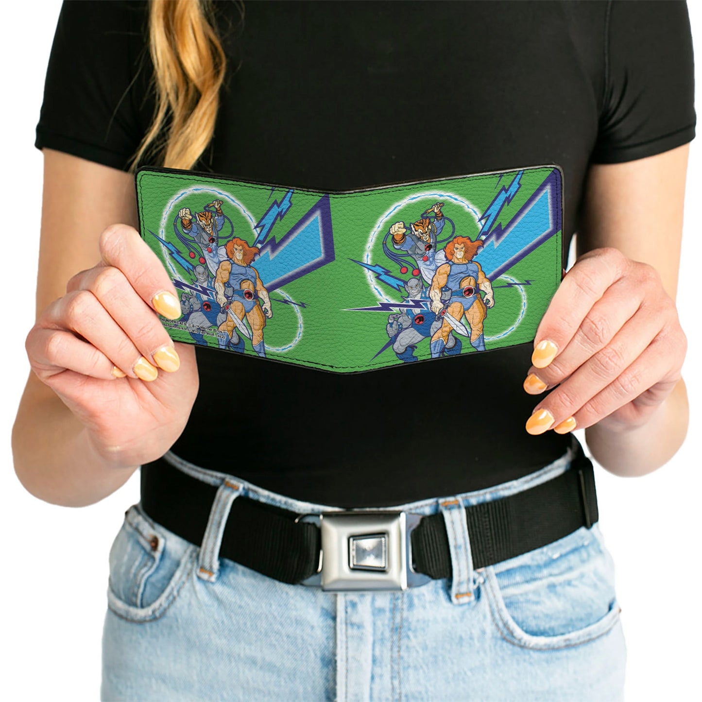 Bi-Fold Wallet - ThunderCats Classic 3-Character Group Pose and Lightning Bolts Green Blues