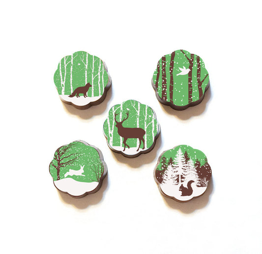 Woodland Wonderland