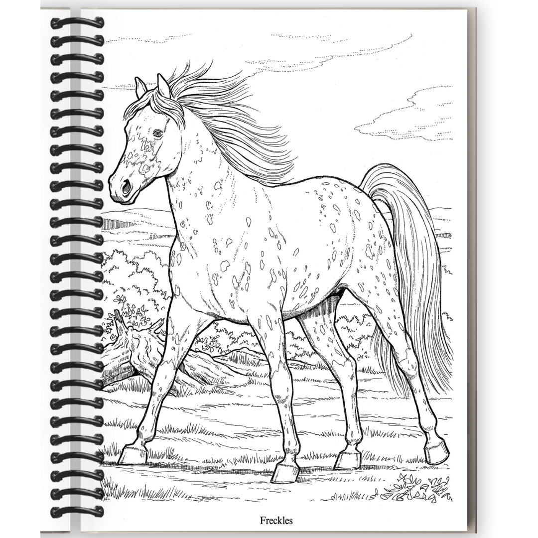 Wonderful World of Horses Coloring Book (Spiral Bound)