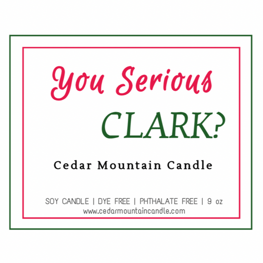 You Serious? - Soy Candle