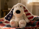Star Spangled Dog- Scout