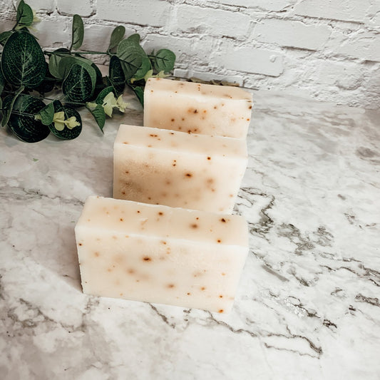 Aloe Eucalyptus Soothing Soap Bar Aloe Vera After-Sun Relief Natural Eucalyptus