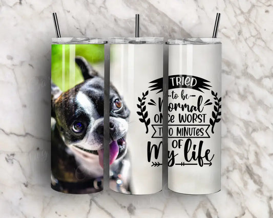 Be Normal – Multi