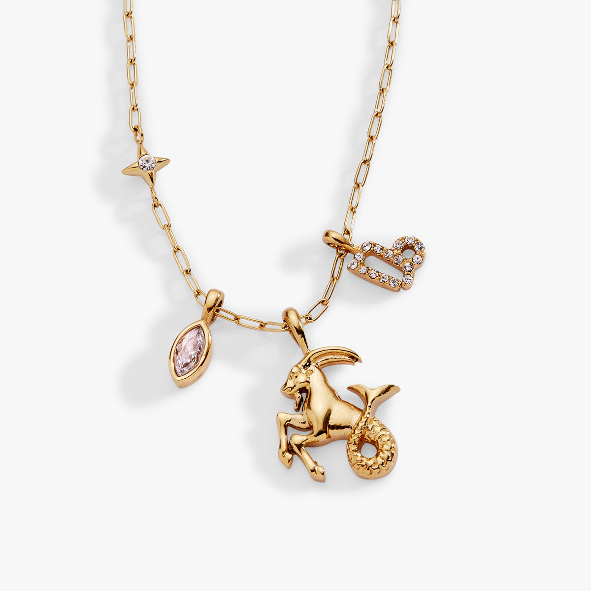 Capricorn Zodiac Charm Cluster Necklace