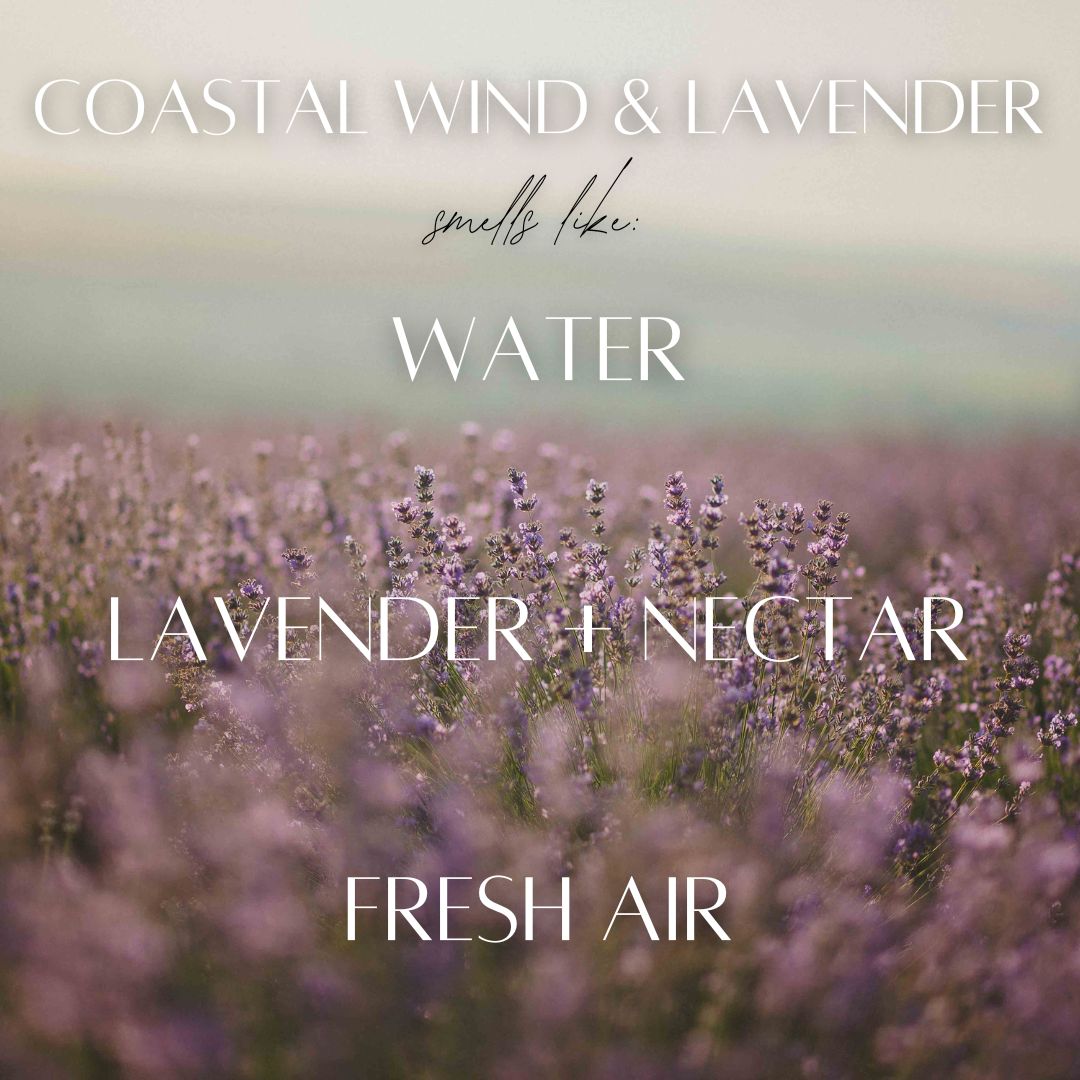 Coastal Wind & Lavender - 3 Wick Jar Candle