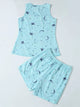 Pastel  Blue