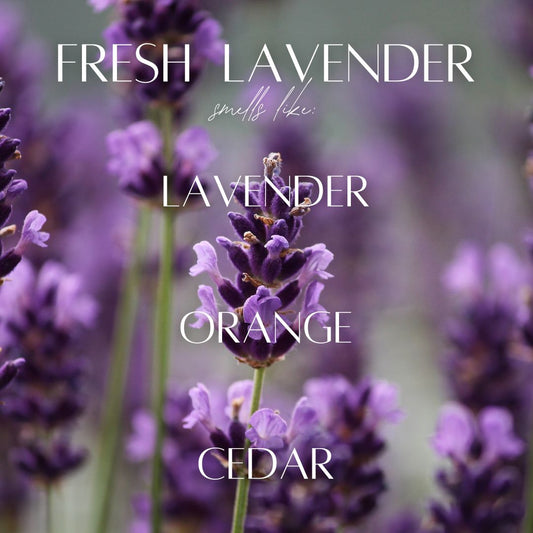 Fresh Lavender - 3 Wick Jar Candle