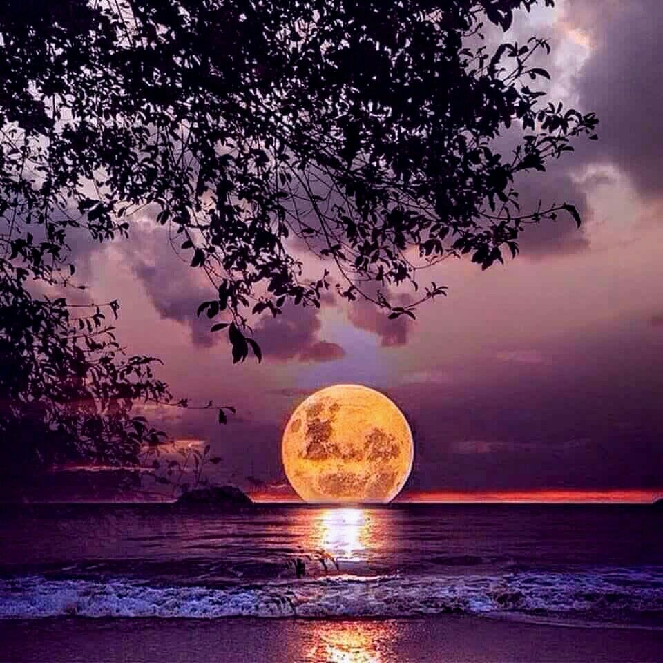 Full Moon Over the Water