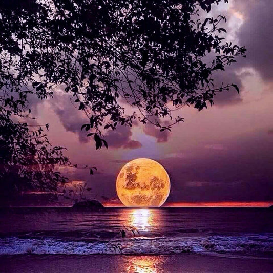 Full Moon Over the Water