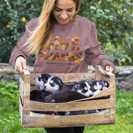 Give Thanks Graphic Sweatshirt