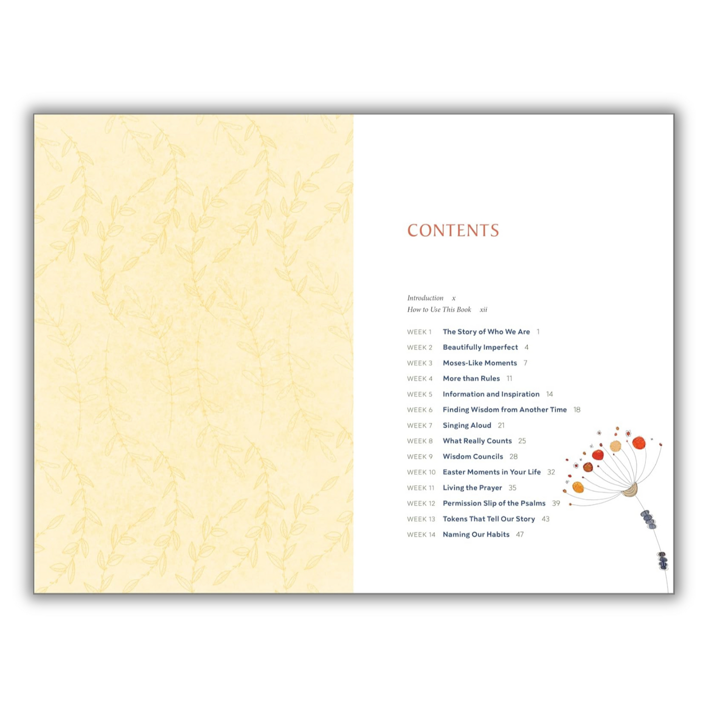 The Bible in 52 Weeks for Families: A Yearlong Bible Study (Spiral Bound)