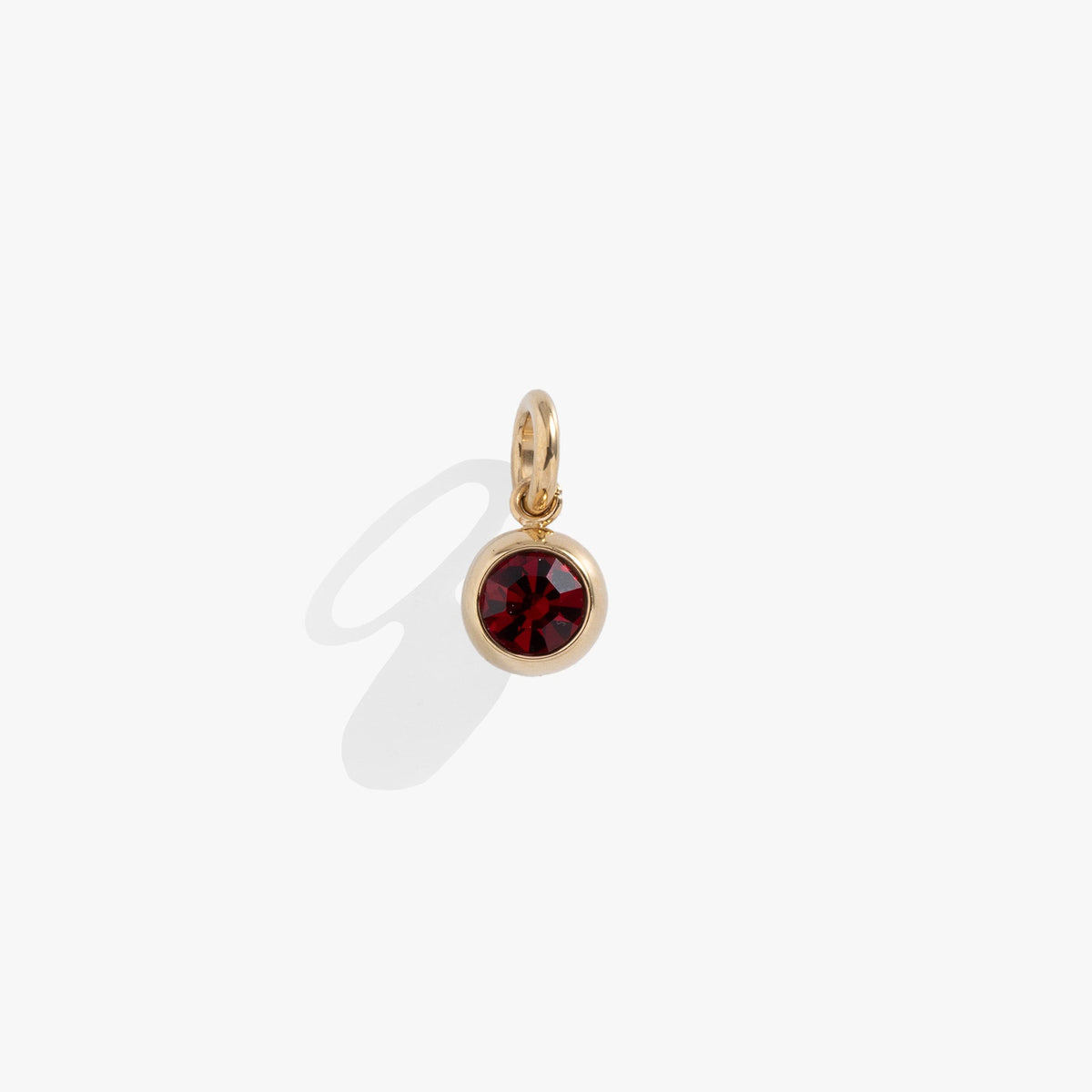 January Birthstone Interchangeable Charm