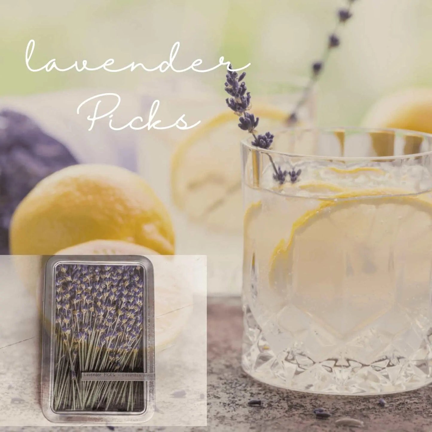 Lavender Picks - Dried Stems