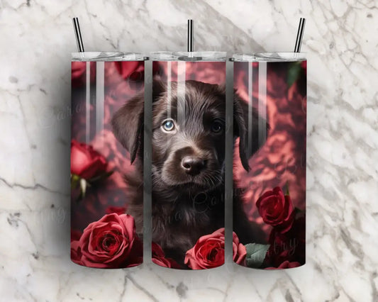 My Heart Loves – Multi