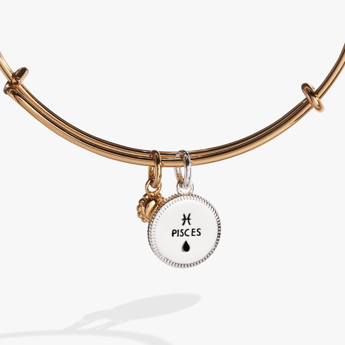 Pisces Zodiac Charm Bangle