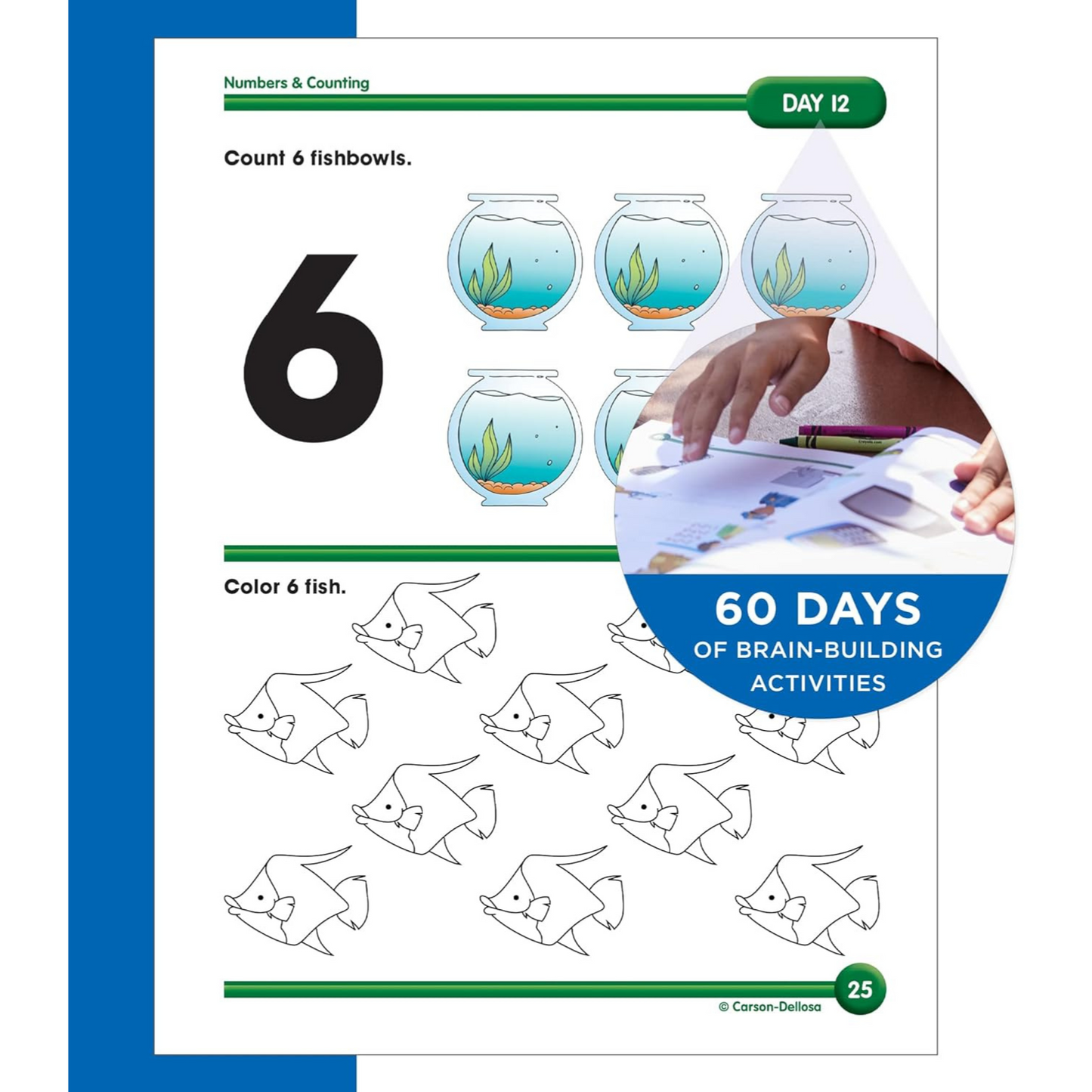 Summer Bridge Activities PreK-K Workbooks, Ages 4-5 (Spiral Bound)