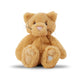 Marmalade-Cat