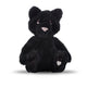 Midnight-Cat