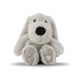 Dusty-Grey-Dog