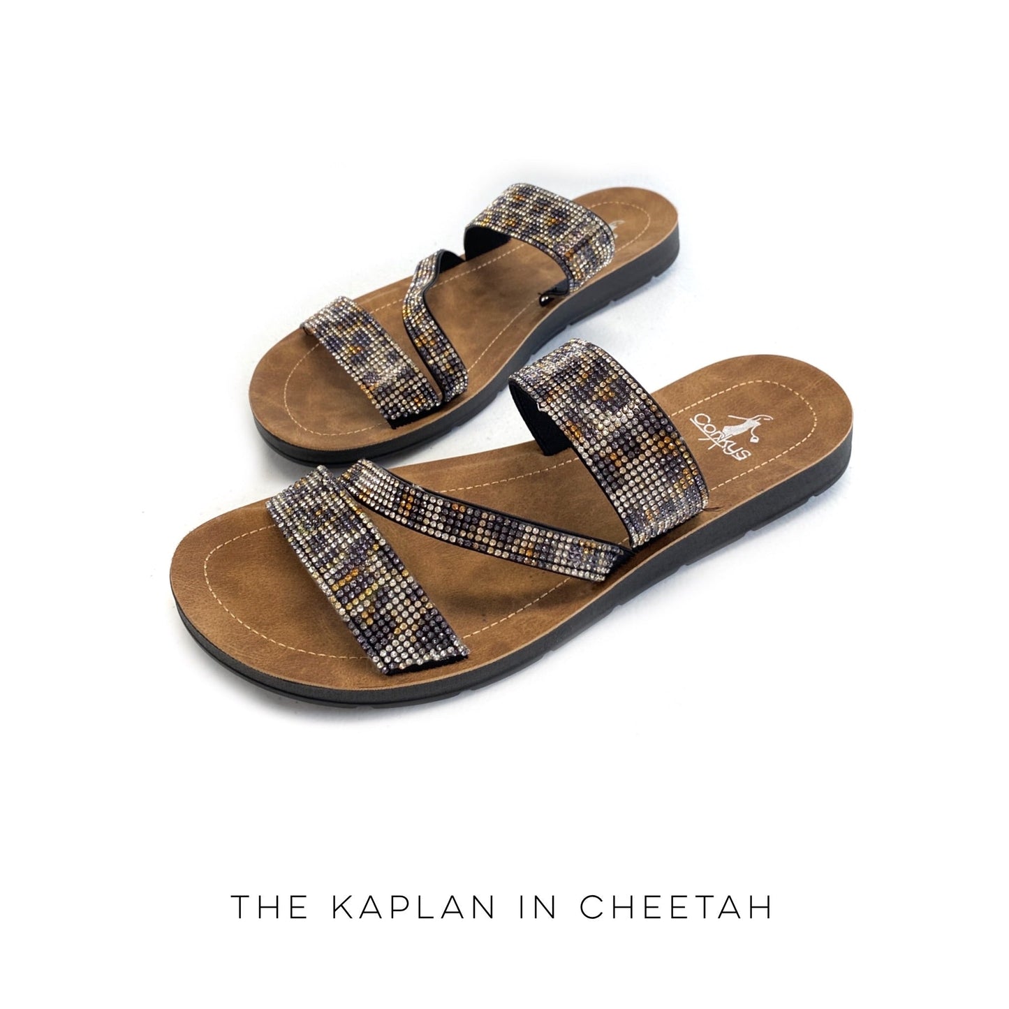 The Kaplan in Cheetah